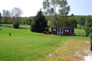 shed (1)