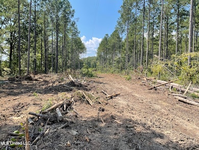 0 Pisgah Rd, Brandon, MS 39047 - photo 5