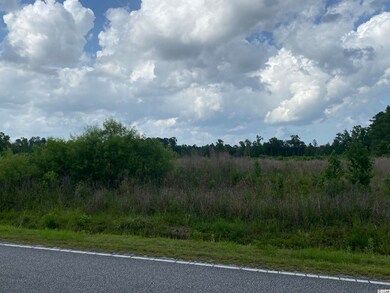 Lot 2 Berley Mc Rd, Conway, SC 29526 - photo 2