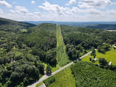 Short Rd, Alpine, AL 35014 - photo 6