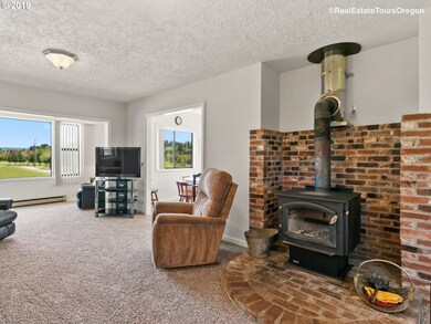 Fireplace Wood Burning Stove/Insert