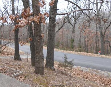 42 Billingsley Dr, Bella Vista, AR 72715 - photo 3