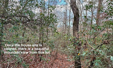 Lot 17 Blue Cedar Rd, Sylva, NC 28779 - photo 4