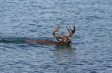 1409 Millcreek Tr, Whitney, TX 76692 - photo 7