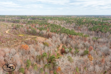 0 Bird Farm Rd, Jasper, AL 35503 - photo 6