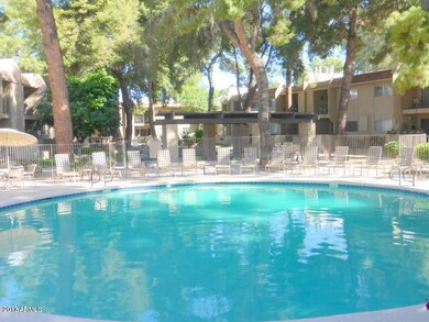 Main Pool