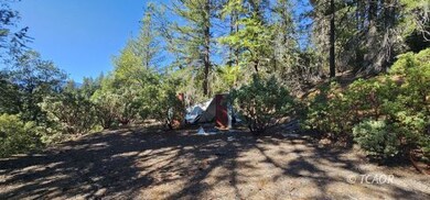 Property from the flat.