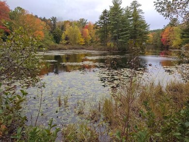 pleasant point pic frog pond