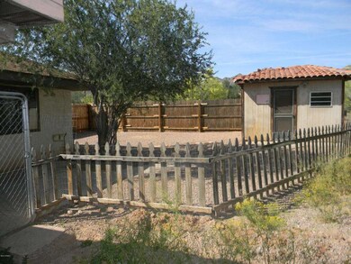 backyard.JPG