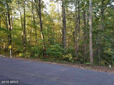 112 Tall Pines Ave, Locust Grove, VA 22508 - photo 4