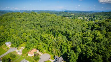 Tbd White Hawk Way, Kingsport, TN 37663 - photo 4