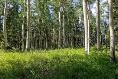 Aspen Grove homesite