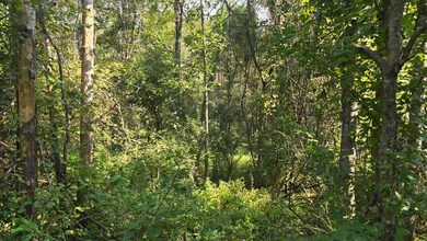 Nelson Corner Rd, Roxie, MS 39661 - photo 2