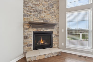 Floor to ceiling gas fireplace