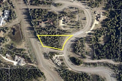 Aerial - Showing Lot Lines