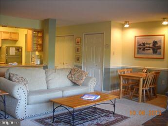 1814 Fairway Dr unit 316, Basye, VA 22810 - photo 2