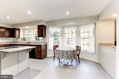 2205 Halter Ln, Reston, VA 20191 - photo 6