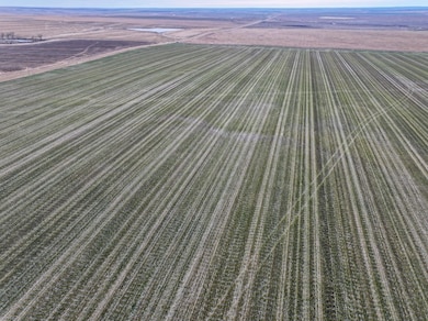 Sansarc Rd, Hayes, SD 57537 - photo 2