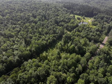 0 Amidon Rd, Montgomery, VT 05471 - photo 7