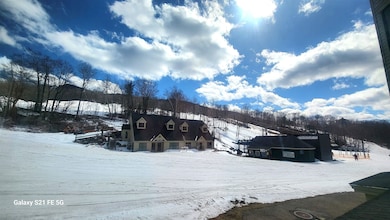 View from Living Rm.