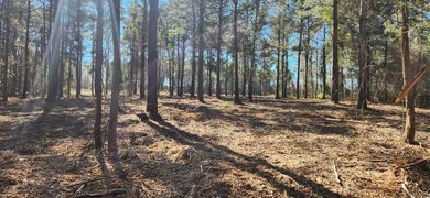 200+- inside of the woodline