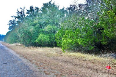 33043 Woodcrest Dr, Whitney, TX 76692 - photo 3