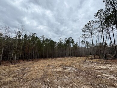 0 Bastonville Rd unit (Tract 14), Gibson, GA 30810 - photo 7