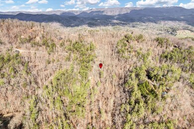 Lot 17 Meadow View Rd, Sevierville, TN 37862 - photo 7