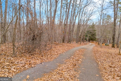 0 Douglas Fir Dr unit 10450306, Cleveland, GA 30528 - photo 6