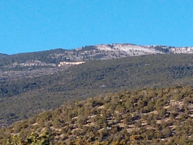 Tract A-1 Cerrito Rojo, Placitas, NM 87043 - photo 2