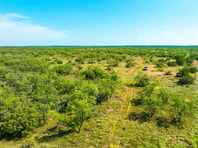 Bird's eye view of a heavily wooded area