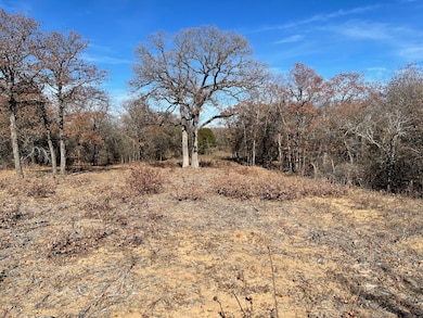 TBD - Lot 88 Blissful Ct, Graford, TX 76449 - photo 6