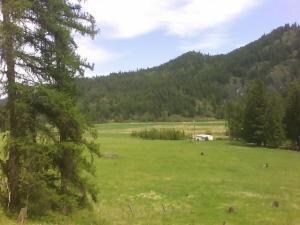 View to North from Southwest corner