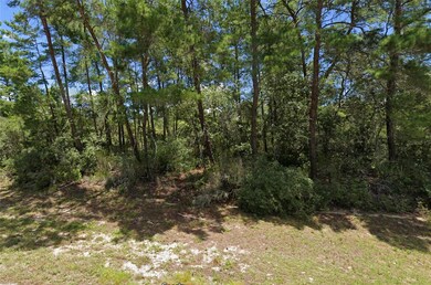 TBD SW 21st Cir, Ocala, FL 34473 - photo 2