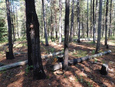 16951 Fontana, Bend, OR 97707 - photo 4