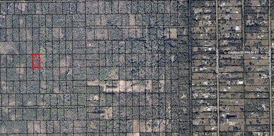 Tract 22, Block 15 Canaveral Groves