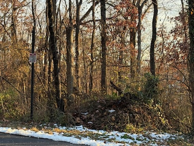 0 Panorama Ave NW, Roanoke, VA 24017 - photo 3