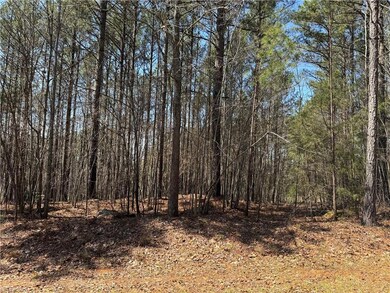 153 Cove Wood Dr, Denton, NC 27239 - photo 3