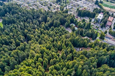 03-0 E 16th Street Arcata-103