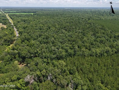 0 River Rd, Bascom, FL 32423 - photo 6