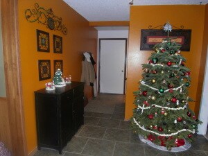 2513 Kiowa Ln, Harrison, AR 72601 - photo 5