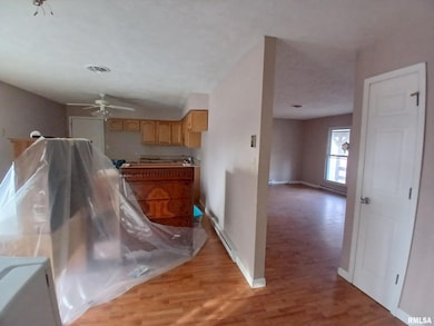 1105 Bradley Ln, Carterville, IL 62918 - photo 3