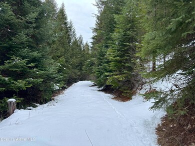 nna Holmes Rd, Bonners Ferry, ID 83805 - photo 6