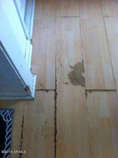 photo13