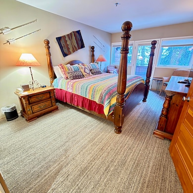 301 S Pine St unit 219, Telluride, CO 81435 - photo 7