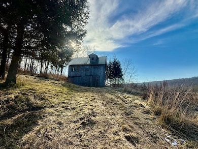 Lot 36 County Road 4, Preston, NY 13830 - photo 3