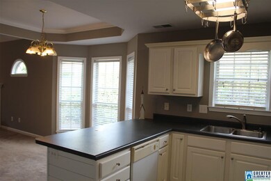 328 Camden Cove Cir, Calera, AL 35040 - photo 7