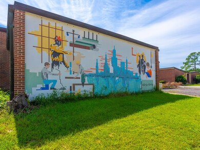 907 N Pierce St, Alma, GA 31510 - photo 6