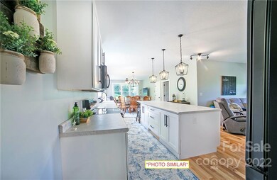 527 Turkey Creek Rd, Leicester, NC 28748 - photo 3