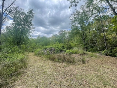 31 A Bonner Rd, Mountain  Rest, SC 29664 - photo 5